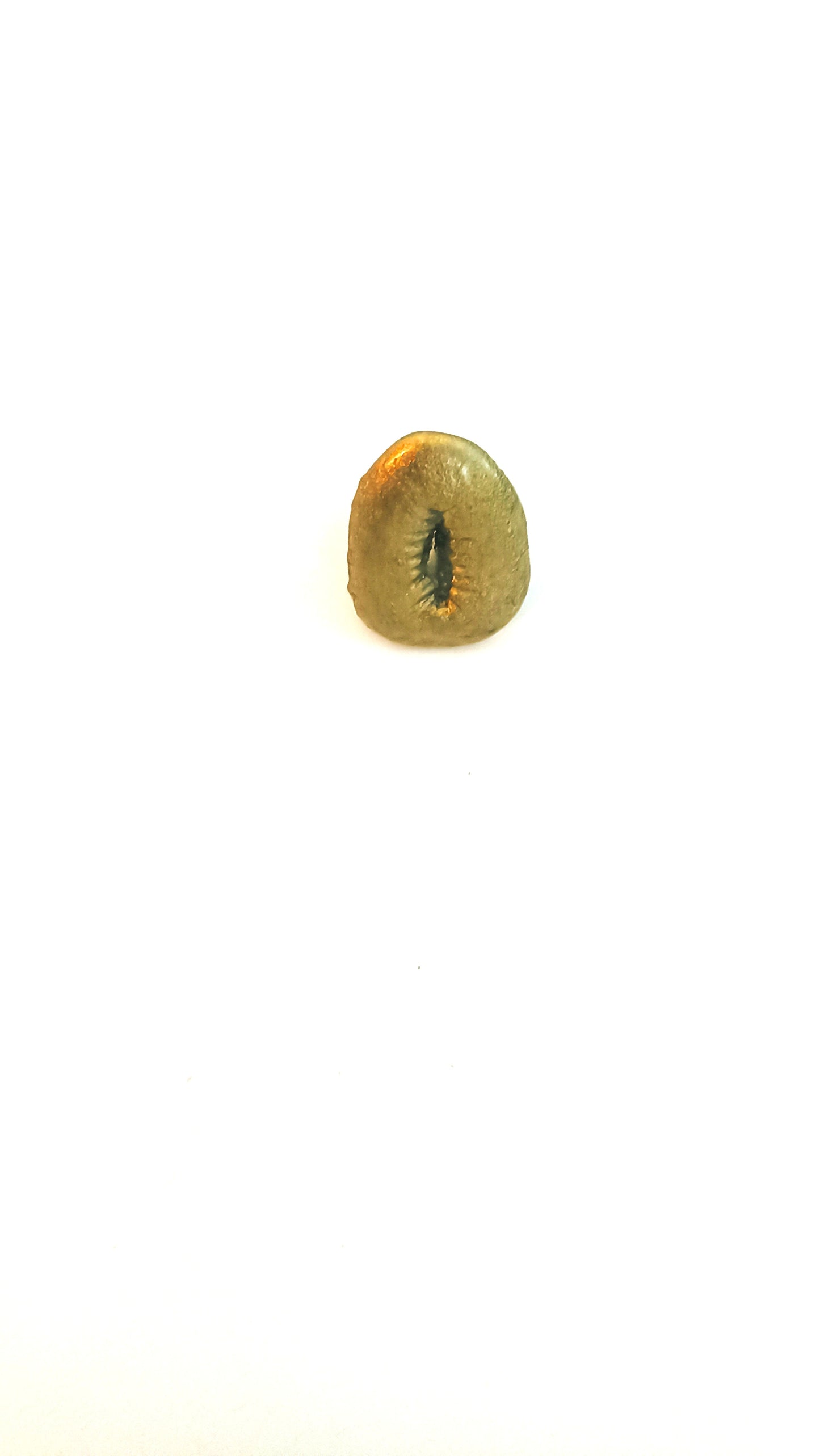 Cowrie Ring Gold