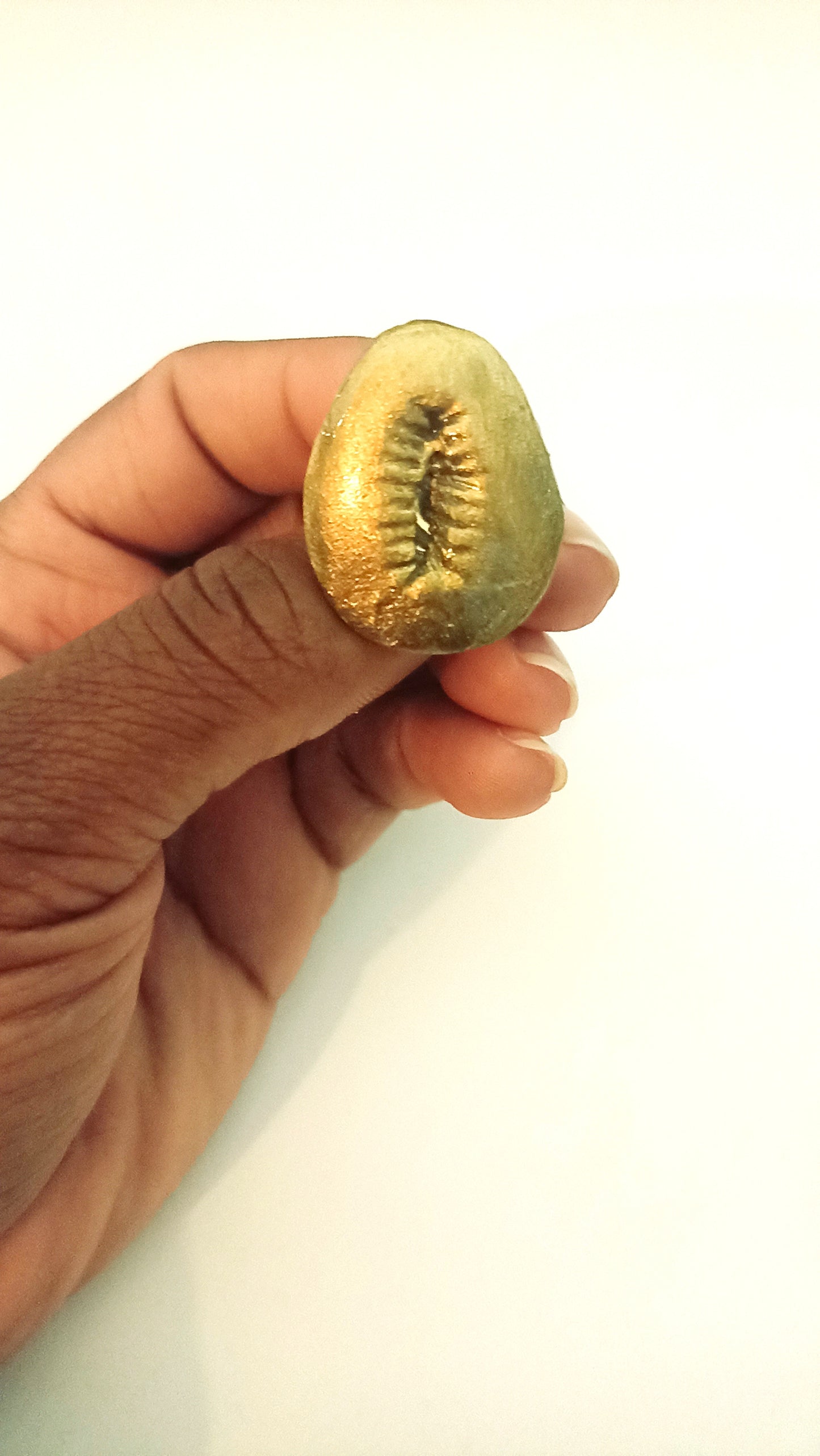 Cowrie Ring Gold